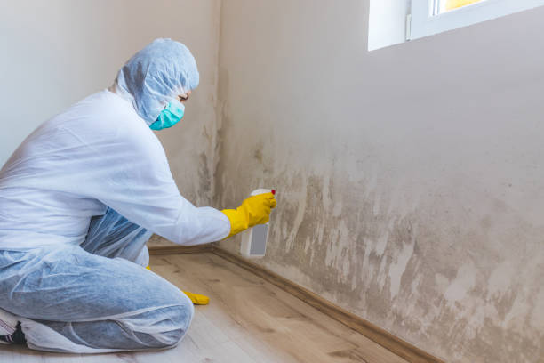 Hvac And Air Duct Mold Remediation inspection of HVAC system in New Hyde Park