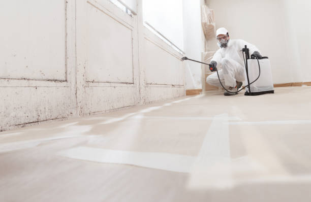 Post-remediation clearance in New Hyde Park
